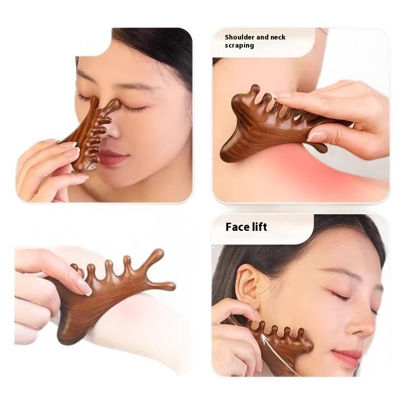 Multifunctional Scalp Massage Comb Head Hair Loss Head Treatment Ebony Multi-Functional Four-in-One Massaging Comb Gua Sha Tool