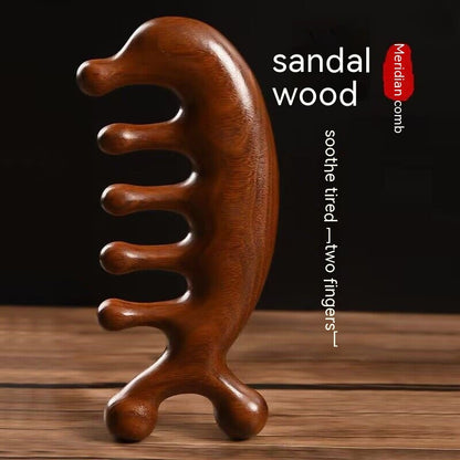 Massage Comb