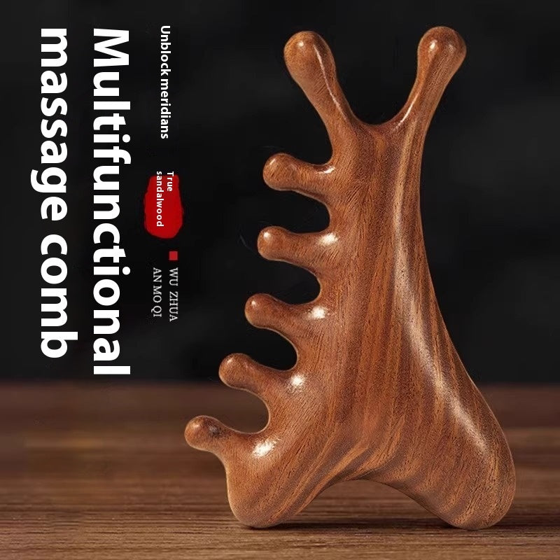 Multifunctional Scalp Massage Comb Head Hair Loss Head Treatment Ebony Multi-Functional Four-in-One Massaging Comb Gua Sha Tool